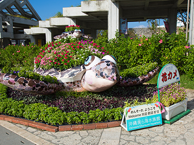 海洋博公园ー海豚秀剧场，海岸步道